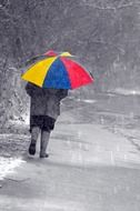 man under a bright umbrella on a rainy day