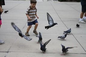 child playing with flying pigeons