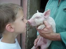 face child and small pig