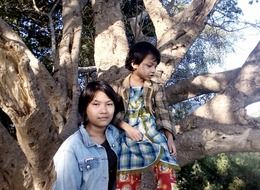 Vietnamese girls near a big tree