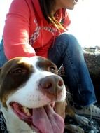 girl near a thoroughbred dog