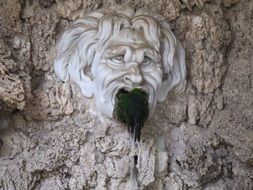 seaweed in the mouth of a statue in a park in Italy
