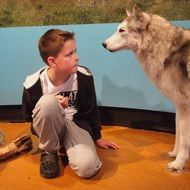 wolf and boy