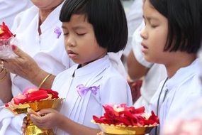 buddhists girls hold rose petals in golden bowls