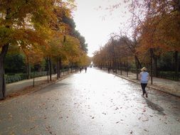 peaceful autumn park with runner