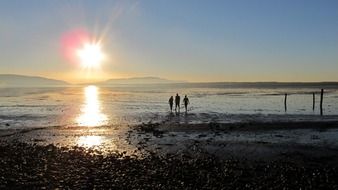 bay mud flat sunset