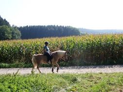 girl riding a horse