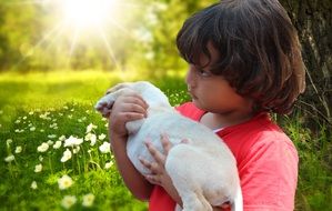 Child with the Labrador puppy