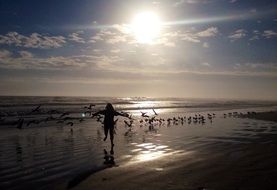 child running along beach birds evening view