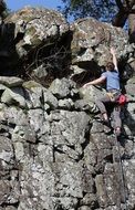 athlete climbs the rock