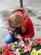 photographer shoots spring flowers