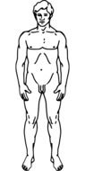 man nude drawing