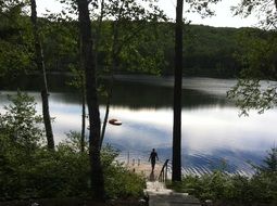 landscape of the pond in a forest