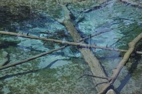 water in a mysterious blue pond