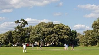 teams play cricket on a green field