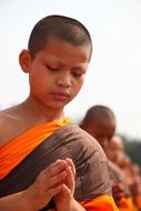 young buddhist monk