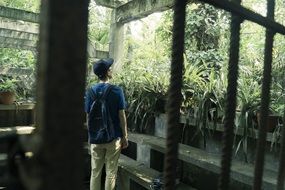 man in a green park, nanning
