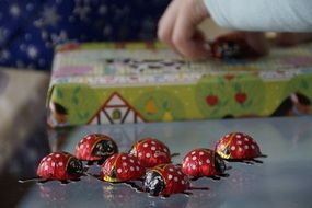 chocolate ladybugs