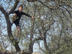 child on a big tree