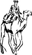 drawn camel rider