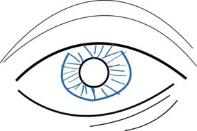 Drawing of a blue human eye