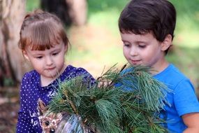 children with a dog and pine branches