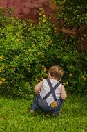 child is in a garden