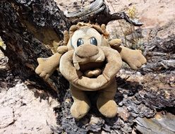 bear like a soft doll among the stones