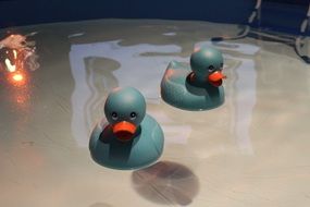 blue rubber ducks in the water in the bath