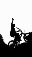 silhouette of a bmx biker