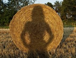 shadow of a girl on a haystack