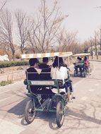 picnic bike