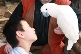 parrot and boy