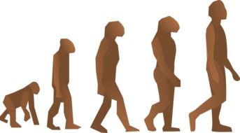 evolution human drawing