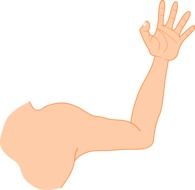 graphic image of a hand with muscles