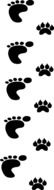 foot man and dog