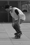 skater on the board