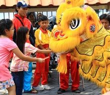 Celebration of the Chinese New Year