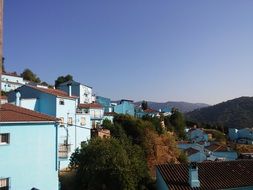 blue houses