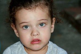 innocence in the blue eyes of a toddler with curly hair