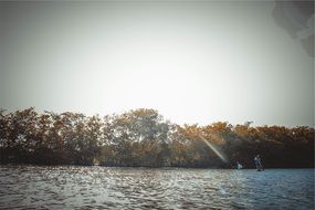 sun over trees near the lake