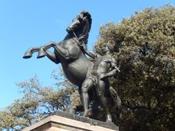 the man with horse statue in barcelona