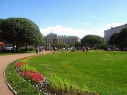 green grass in the meadow in the park