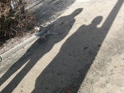 shadows from two people