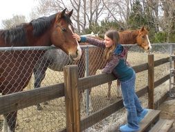 girl near horses