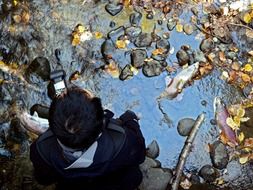 young man photographs dead salmon