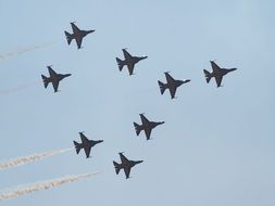 black eagle in the air