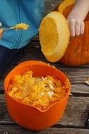 pumpkin pulp in bowl