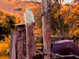 wire fence as the security of a farm