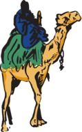 camel man riding drawing